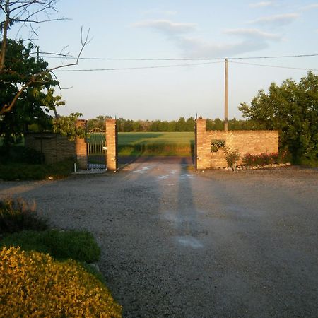 بيفي دي سينتو Agriturismo La Cascinetta المظهر الخارجي الصورة